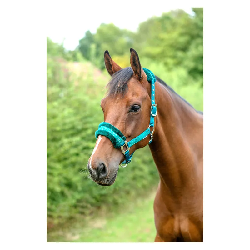 Hy Equestrian Dazzle Headcollar in Alpine Green-1