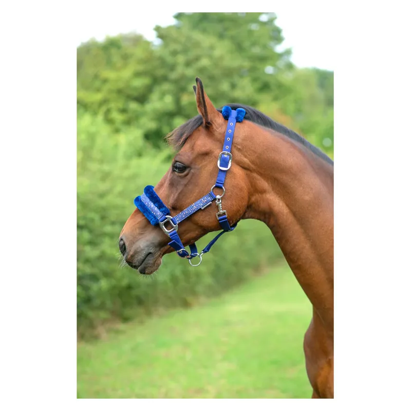 Hy Equestrian Dazzle Headcollar in Twilight Navy-1