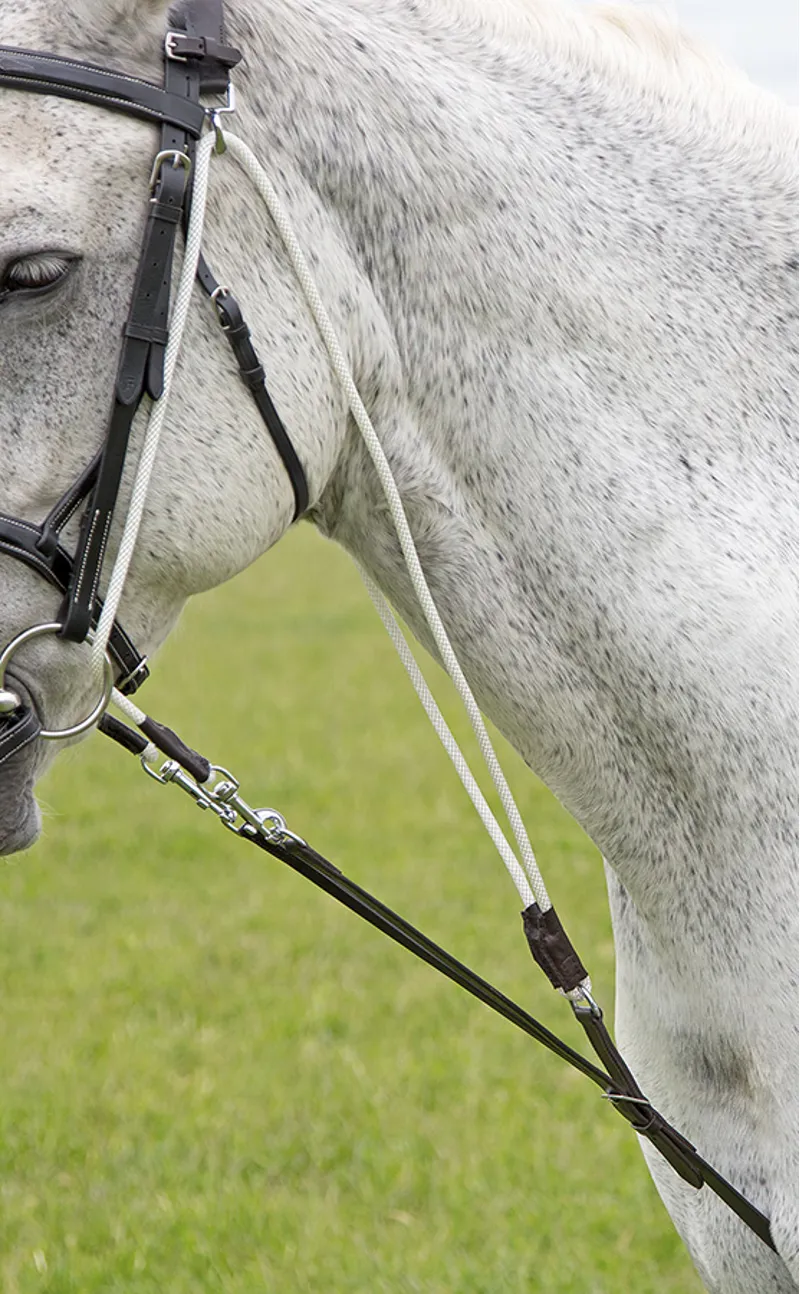 Shires Aviemore De Gogue Training Aid in Black