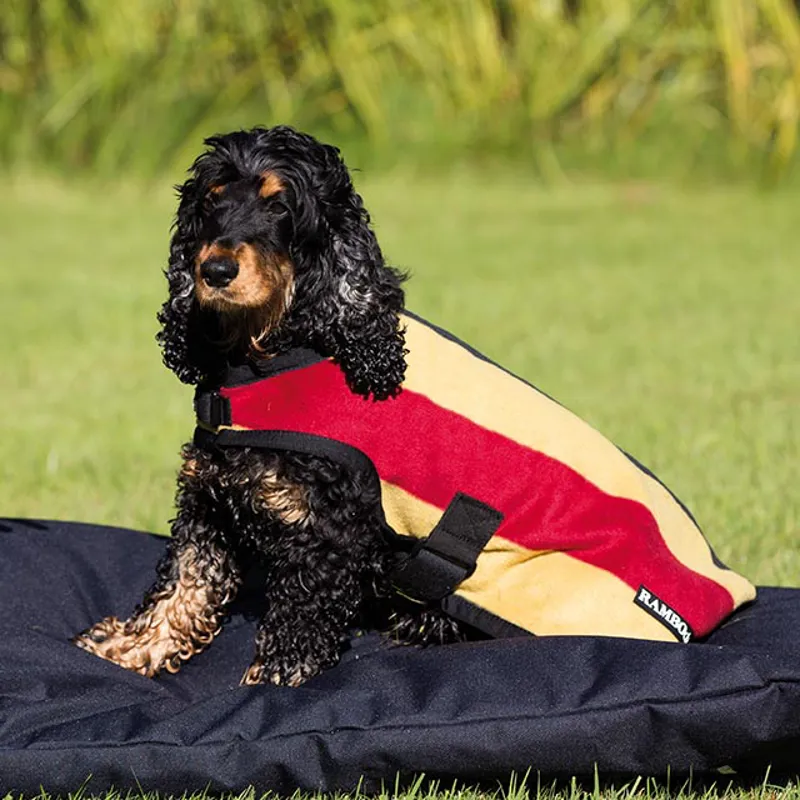 equine dog fleece