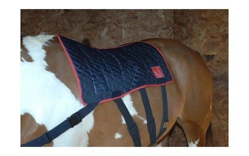 Equilibrium Therapy Magnetic Back Pad