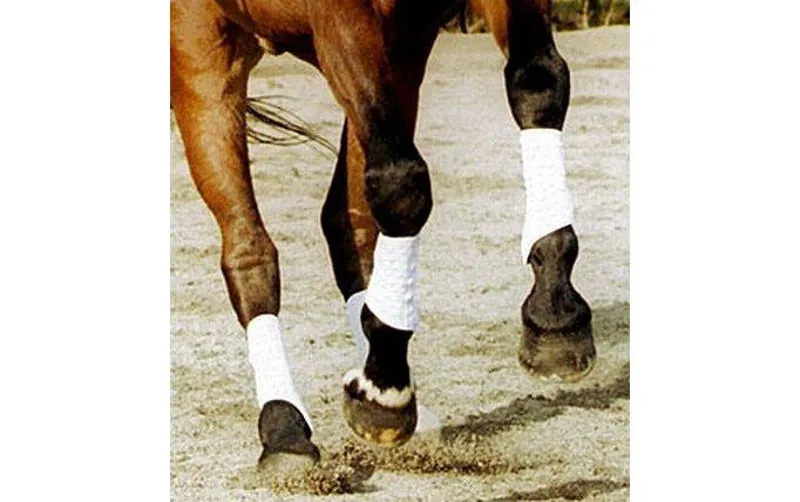 Equilibrium Stretch and Flex Flatwork Wraps in Black or White-3