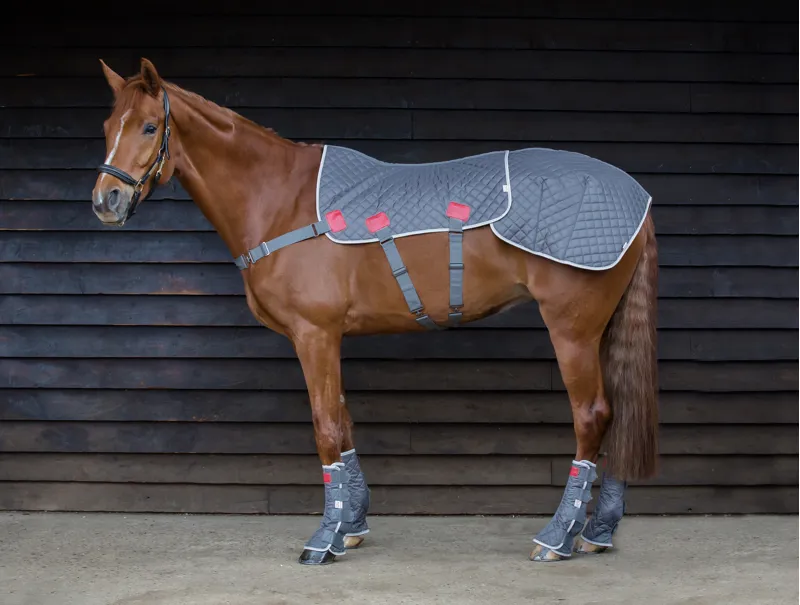 Equilibrium Magnetic Back Pad