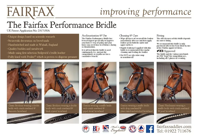 Fairfax Performance Bridle-2