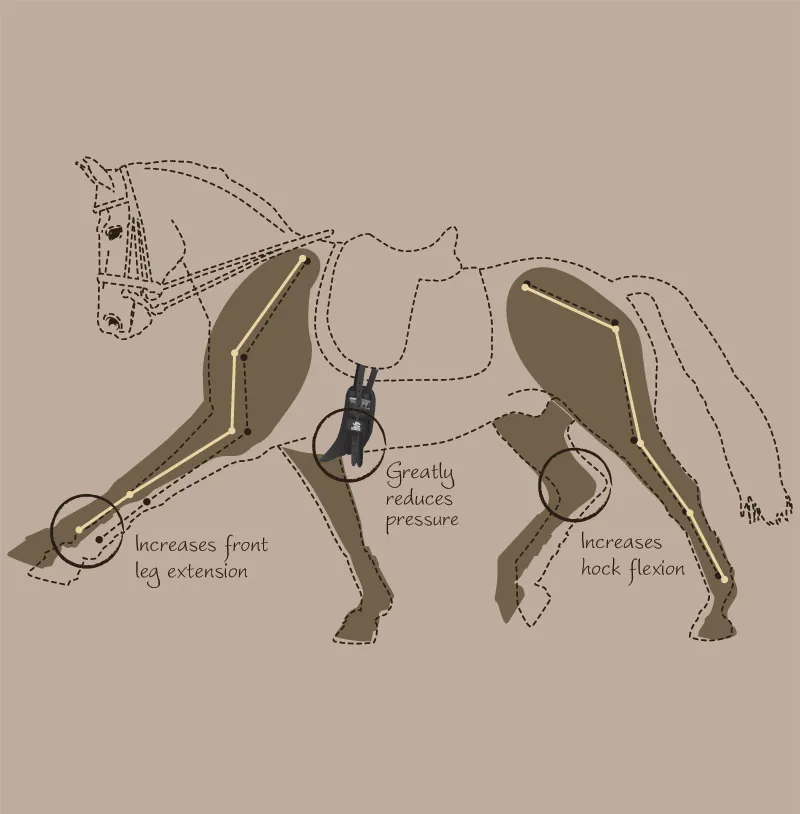 Fairfax Short Event Leather Girth in Black-2