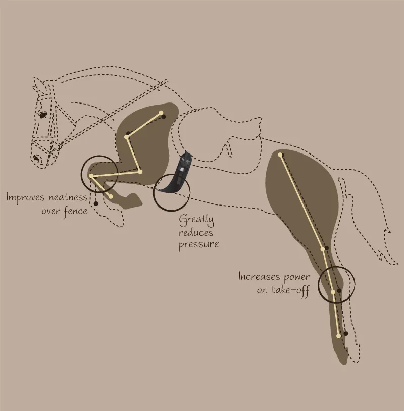 Fairfax Short Event Leather Girth in Black-4