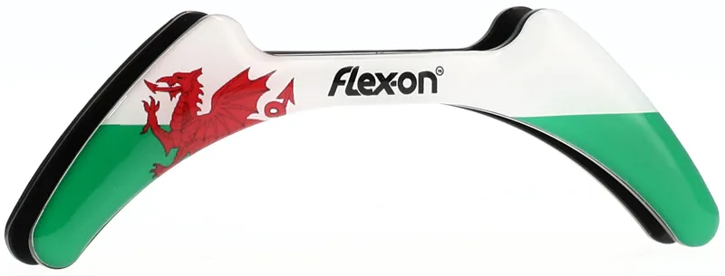 Flex-On Green Composite Magnet in Wales Flag