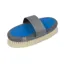 Hy Sport Active Goat Hair Body Brush in Jewel Blue - WEB EXCLUSIVE