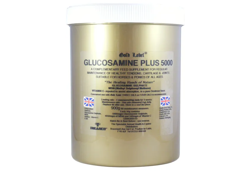 Gold Label Glucosamine Plus 5000