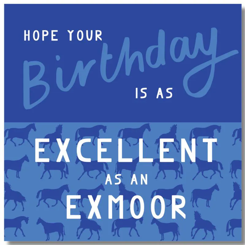 Gubblecote Happy Birthday Card Excellent as an Exmoor in Blue