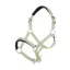 HKM Catherine Headcollar in Pistachio