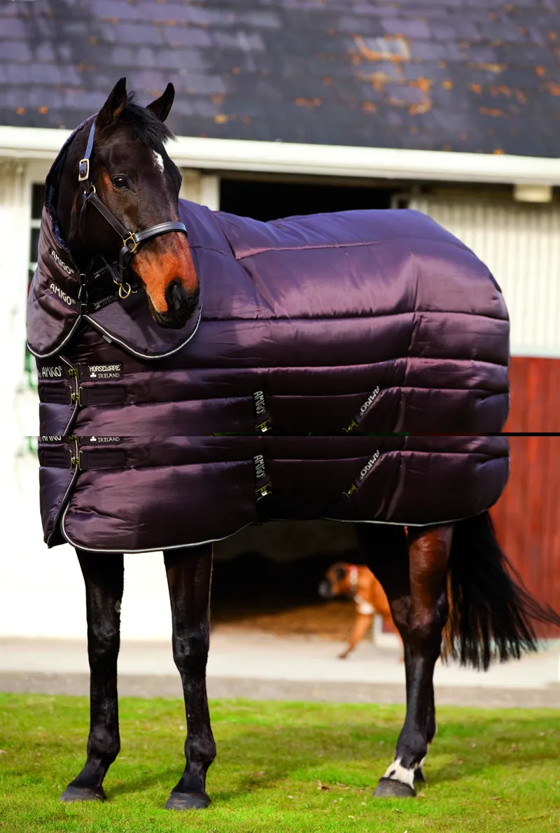 Horseware Amigo Insulator Plus Super Heavy 550g Stable Rug