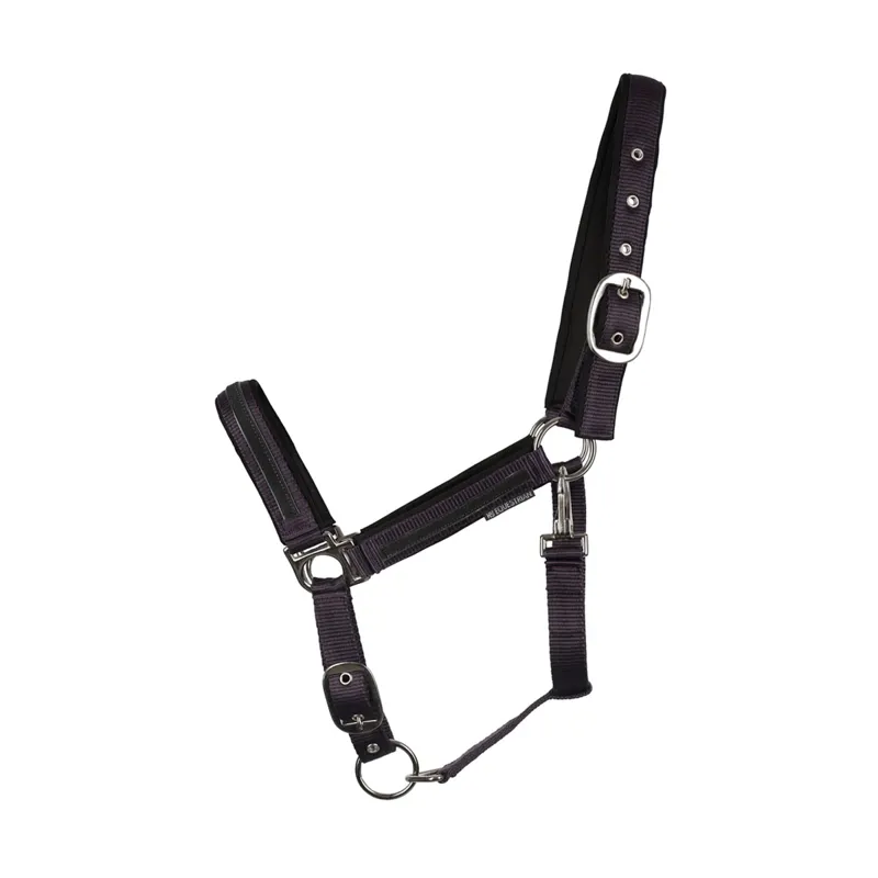 Hy Equestrian Mystic Headcollar in Purple/Midnight Dust