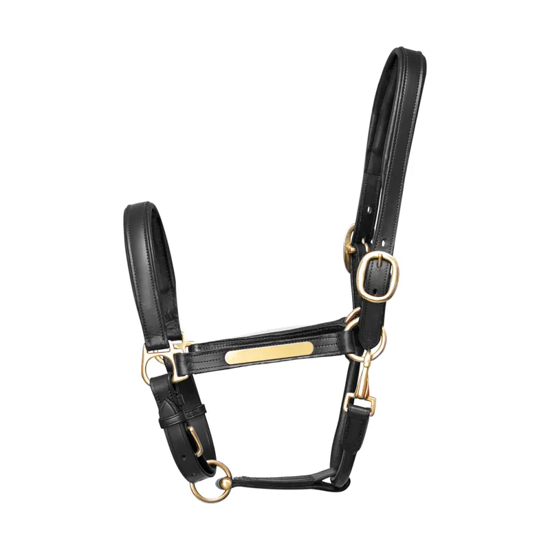 Hy Equestrian Leather Headcollar in Black