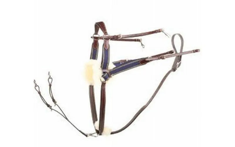 Jeffries 5-point Competition Breastplate