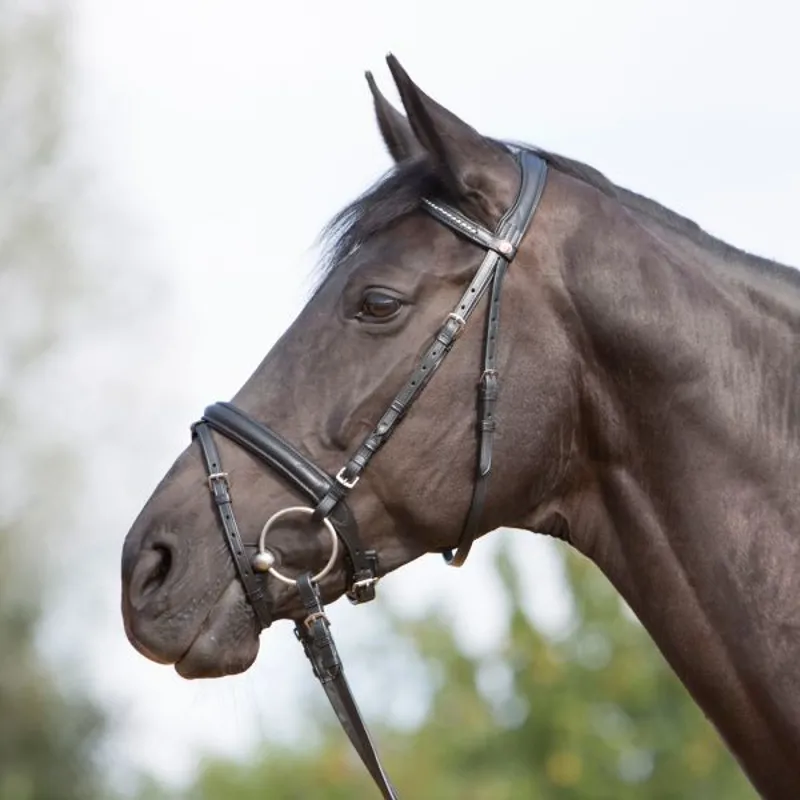 Kieffer Ultrasoft Snaffle Bridle in Black - WEB EXCLUSIVE