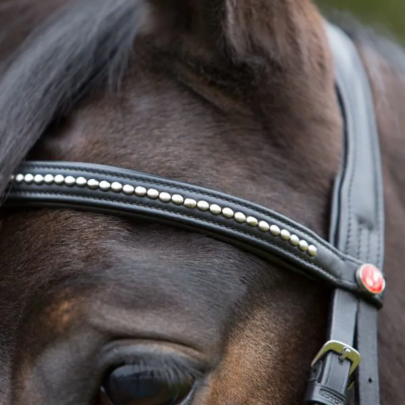 Kieffer Ultrasoft Snaffle Bridle in Black - WEB EXCLUSIVE-1
