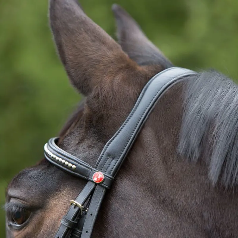 Kieffer Ultrasoft Snaffle Bridle in Black - WEB EXCLUSIVE-2