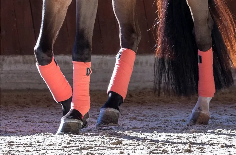 LeMieux Polo Bandages in Sorbet-1