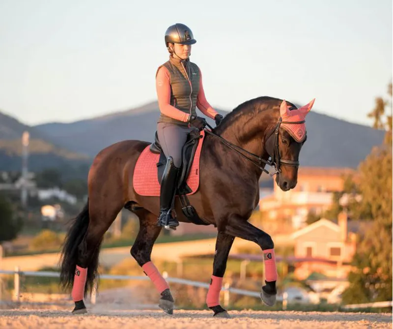 LeMieux Polo Bandages in Sorbet-2