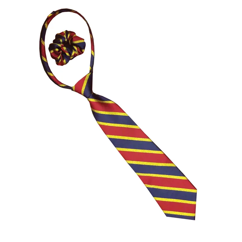 Equetech Junior Stripe Zip Tie in Navy/Red/Gold