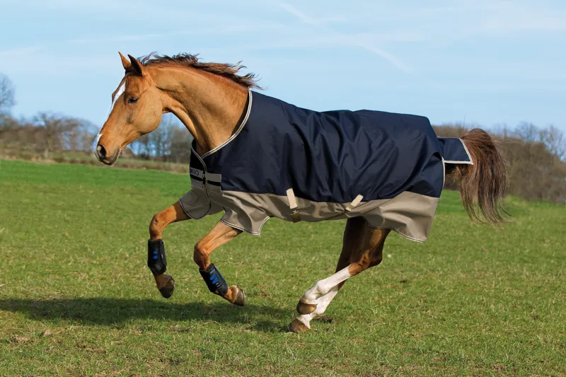 Horseware Mio Pony Lightweight Turnout Rug in Navy and Tan