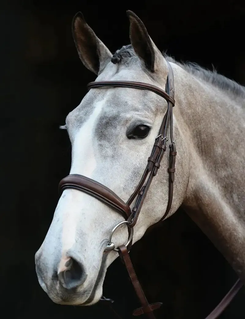 Collegiate Mono Crown Padded Raised Cavesson Bridle in Brown