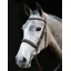 Collegiate Mono Crown Padded Raised Cavesson Bridle in Brown