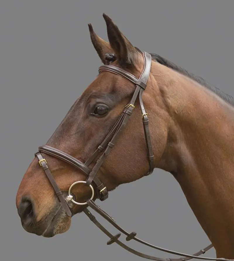 Mountain Horse Cyrano Flash Noseband Bridle Havana