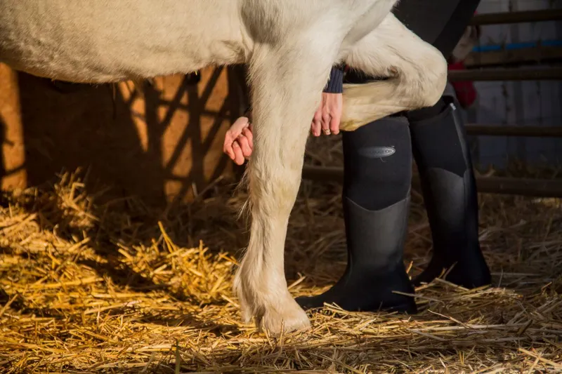 Muck Boot Colt Rider Black Unisex-1