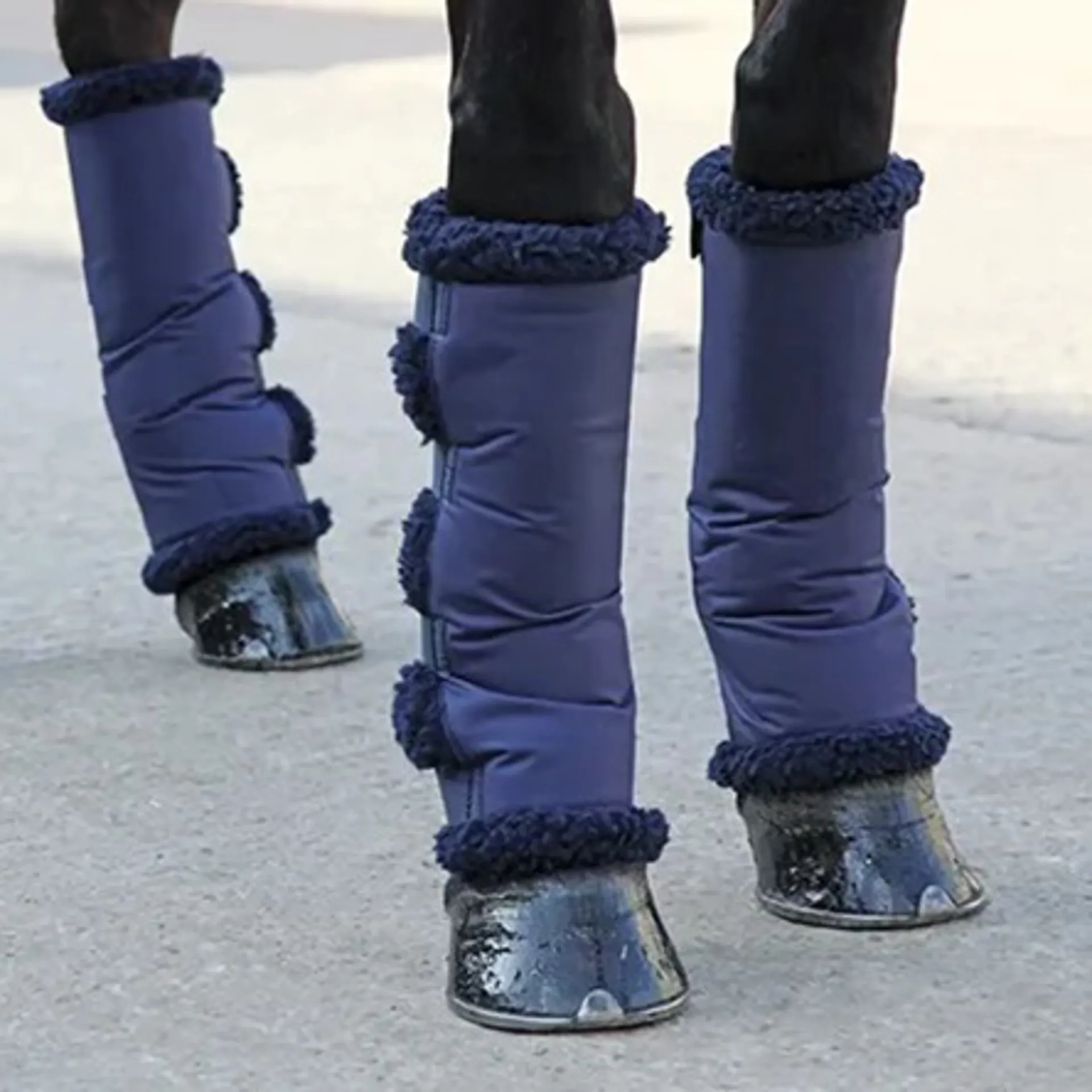 travel boots from RB Equestrian
