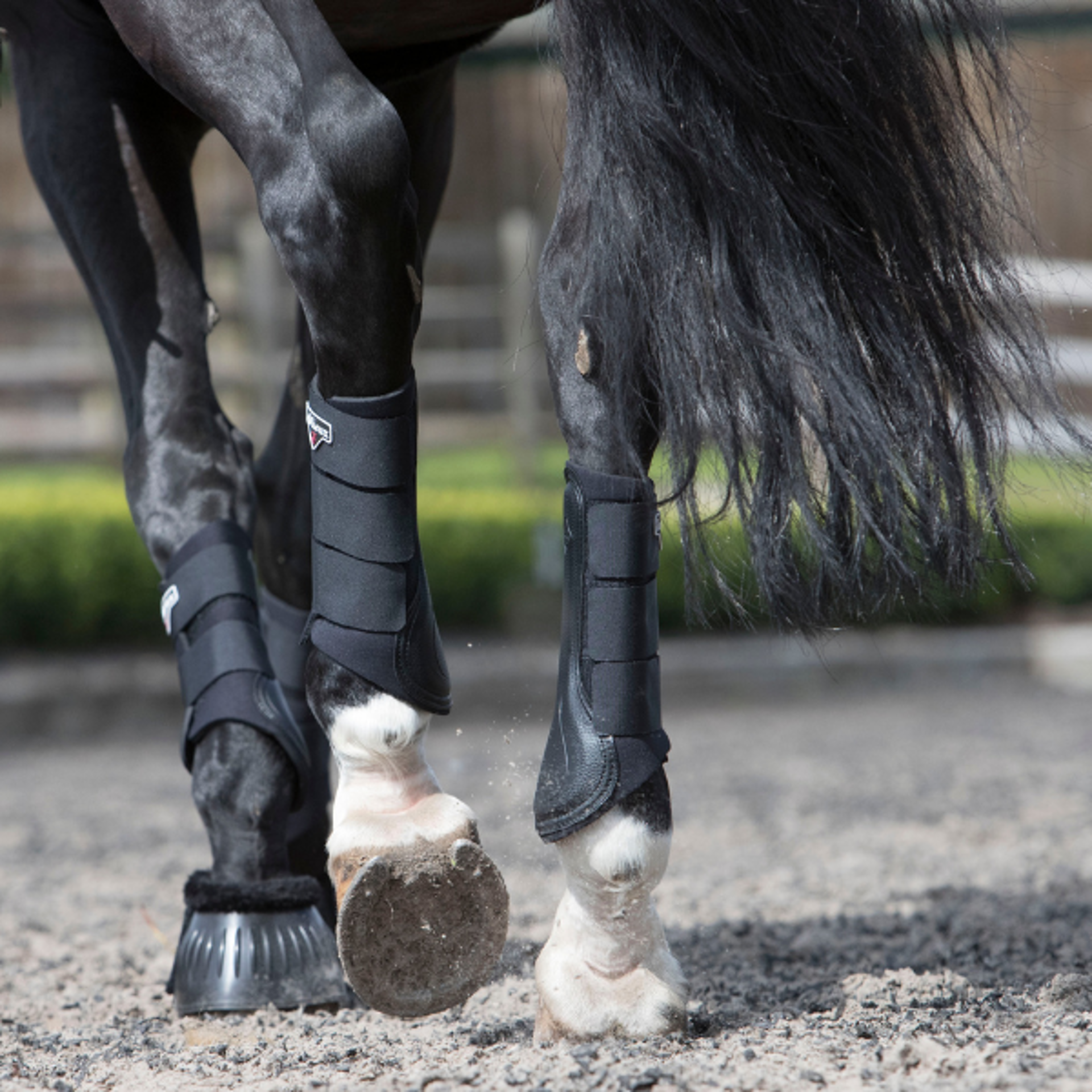 LeMieux Horse Boots from RB Equestrian
