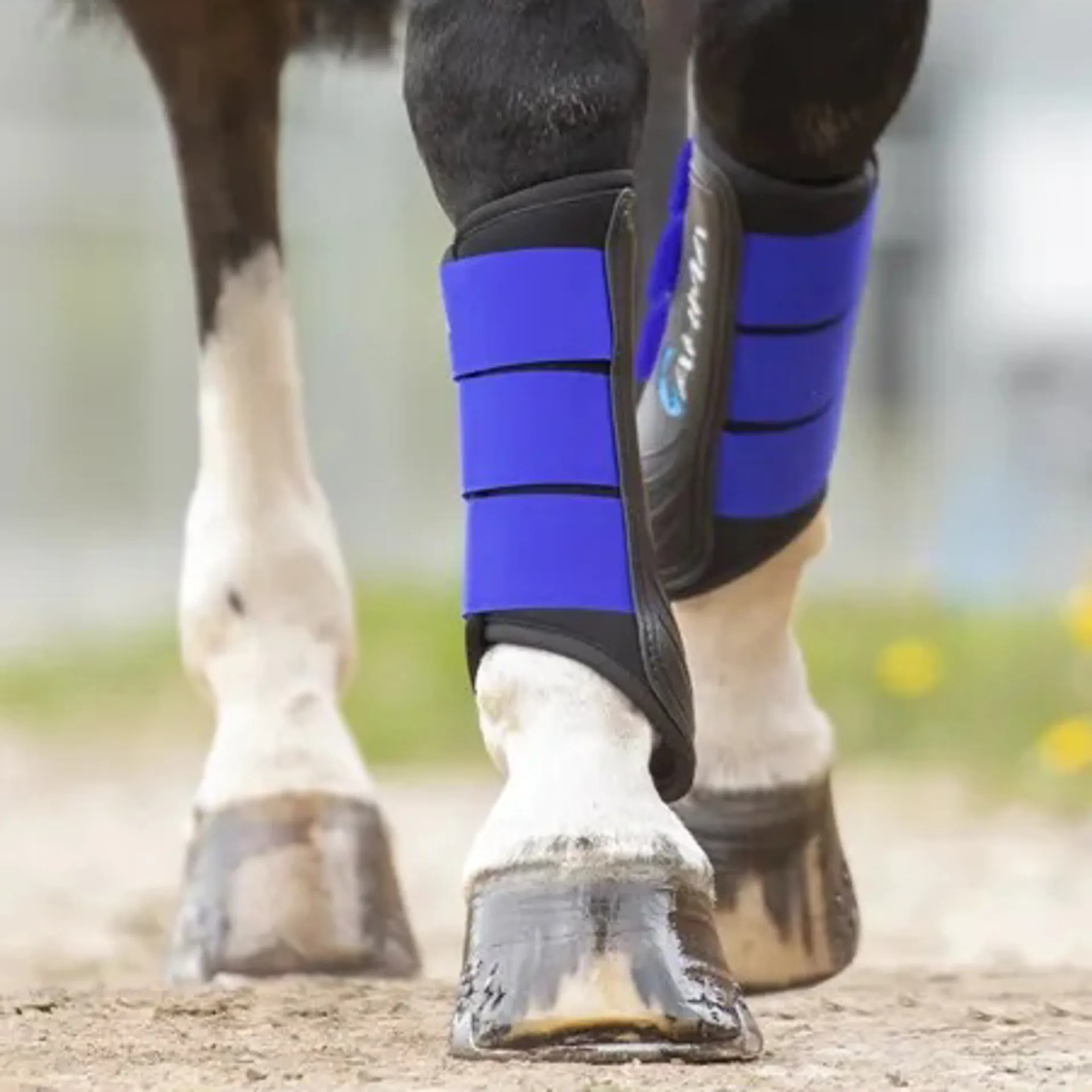 Brushing boots from RB Equestrian
