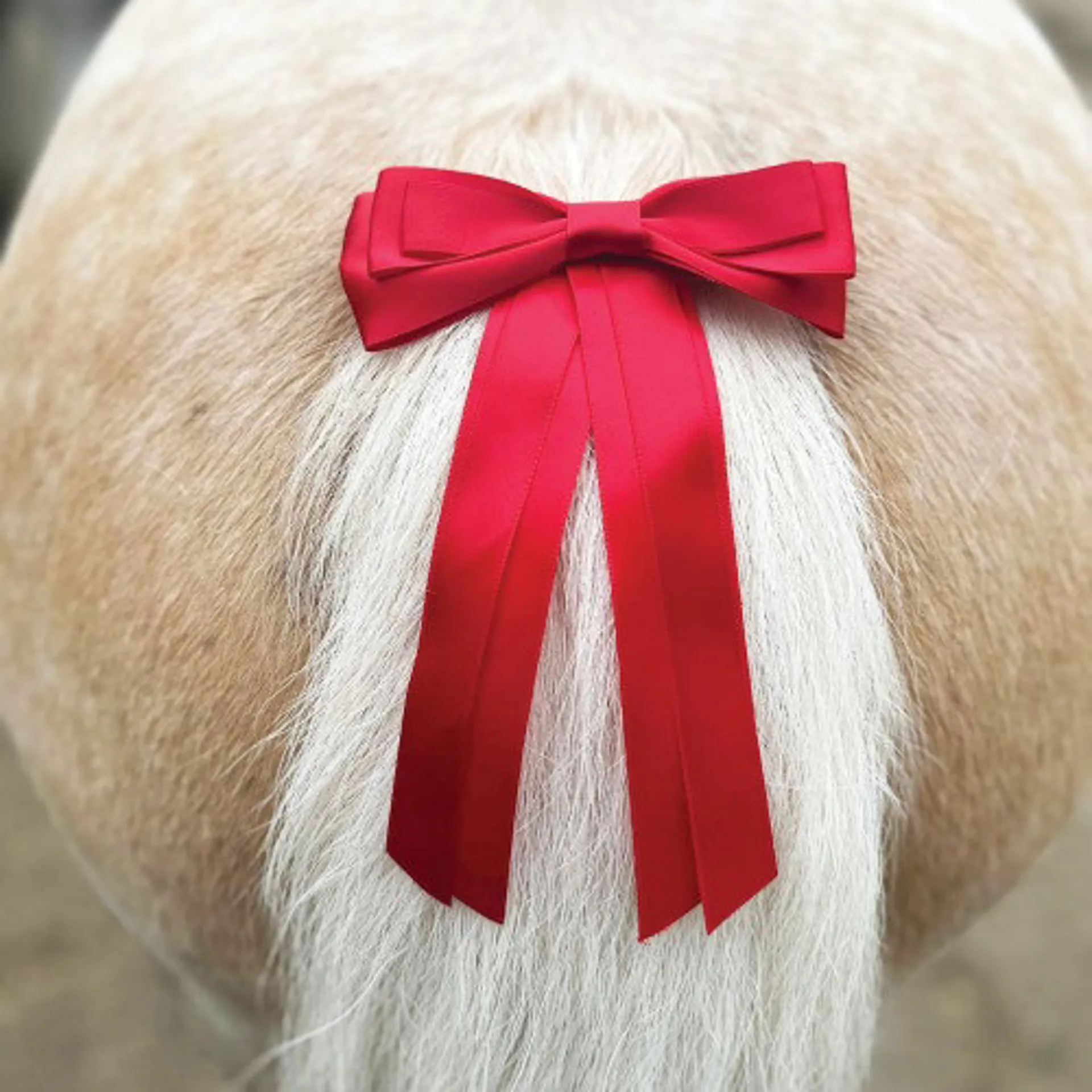 Horsewear accessories from RB Equestrian