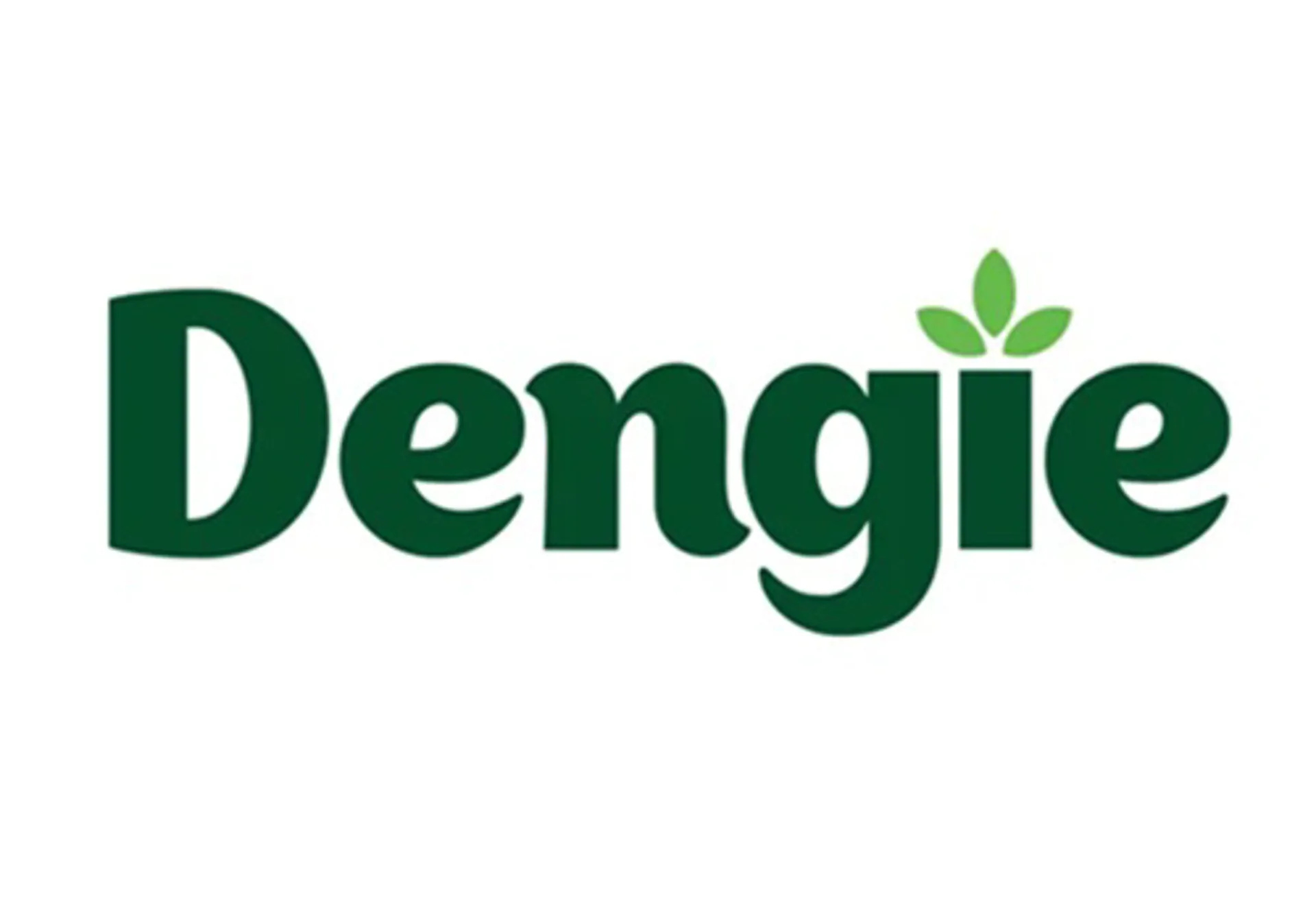 Dengie Horse feed from RB Equestrian