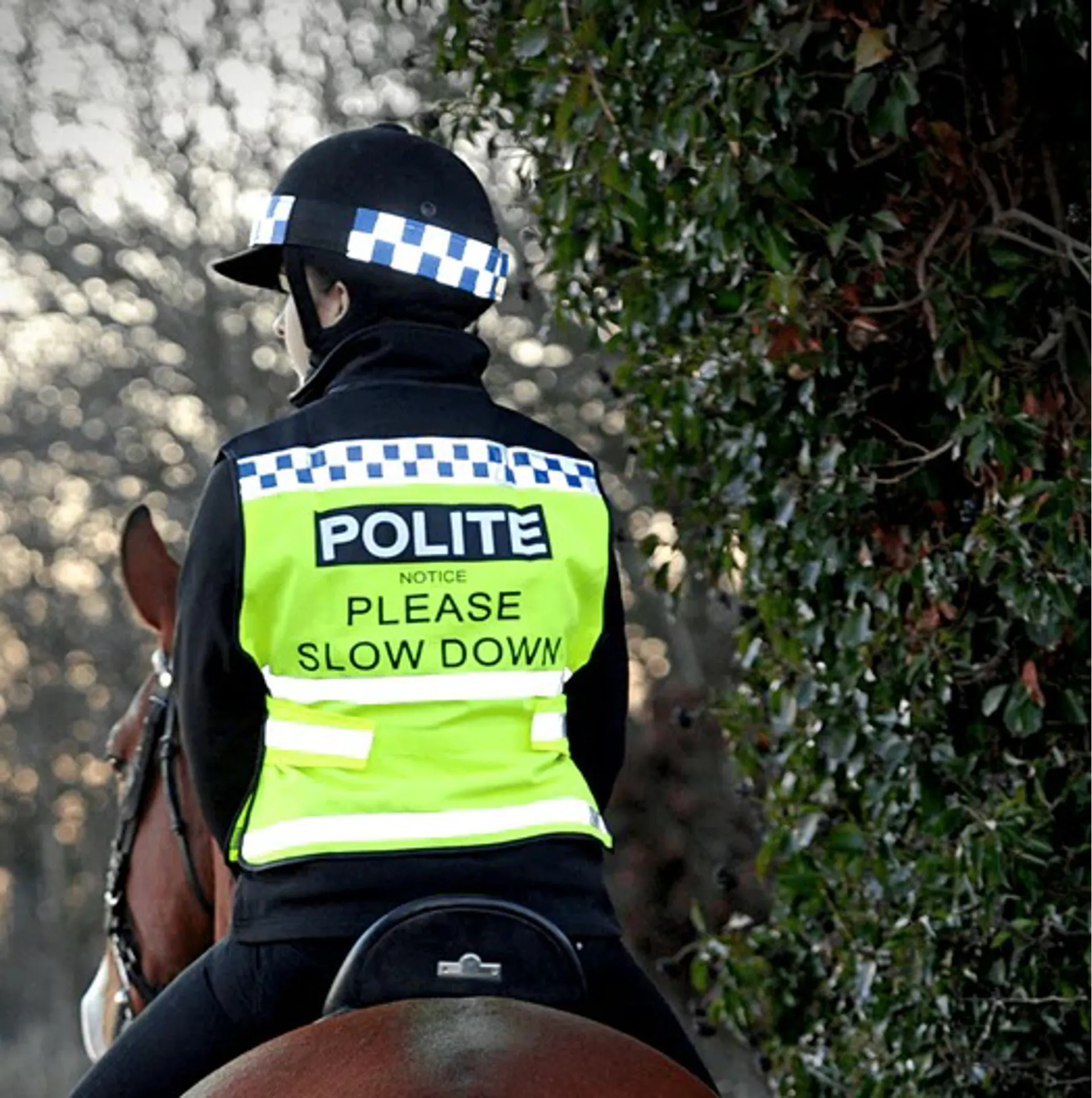 Hi Vis from RB Equestrian