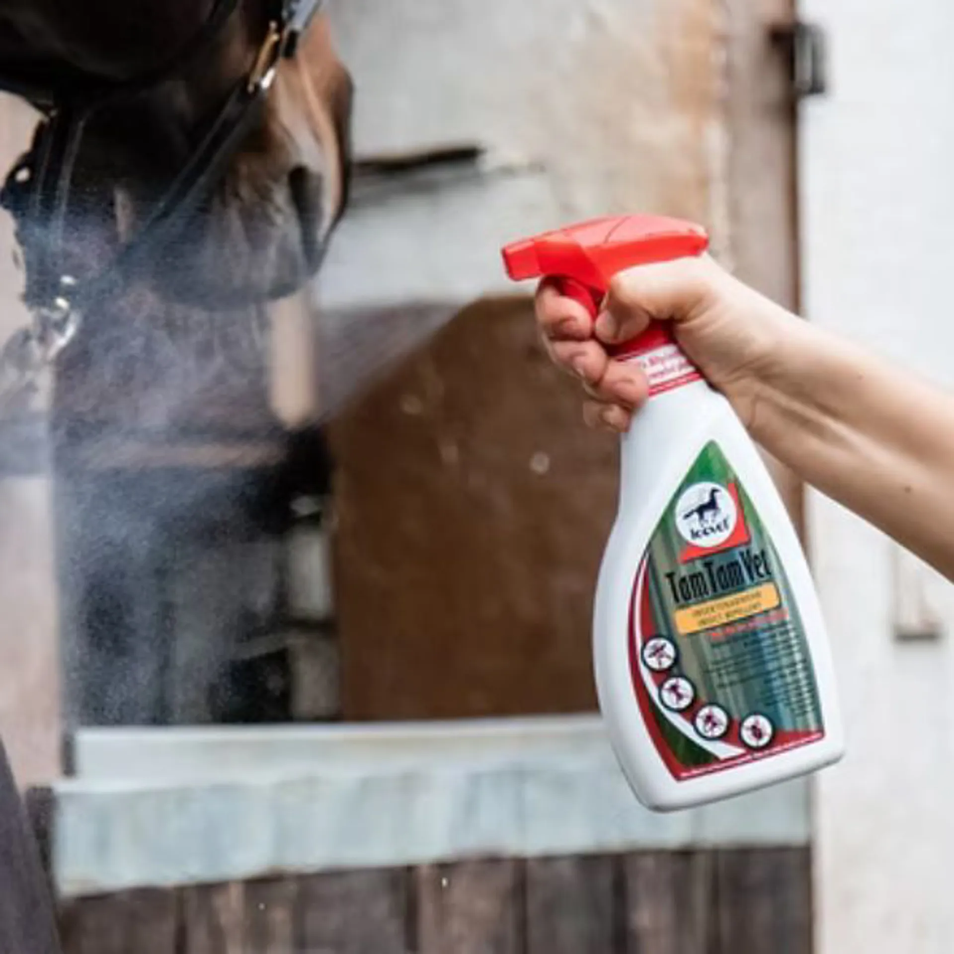 A horse being sprayed with fly repellent