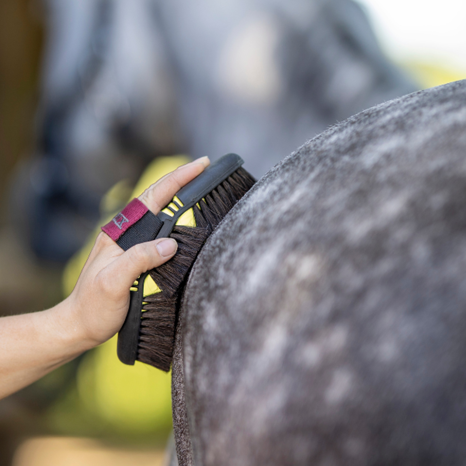 LeMieux Grooming Equipment from RB Equestrian