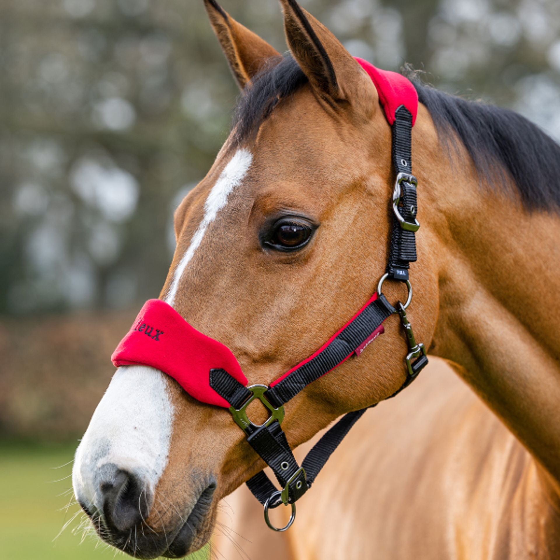 Headcollars from RB Equestrian