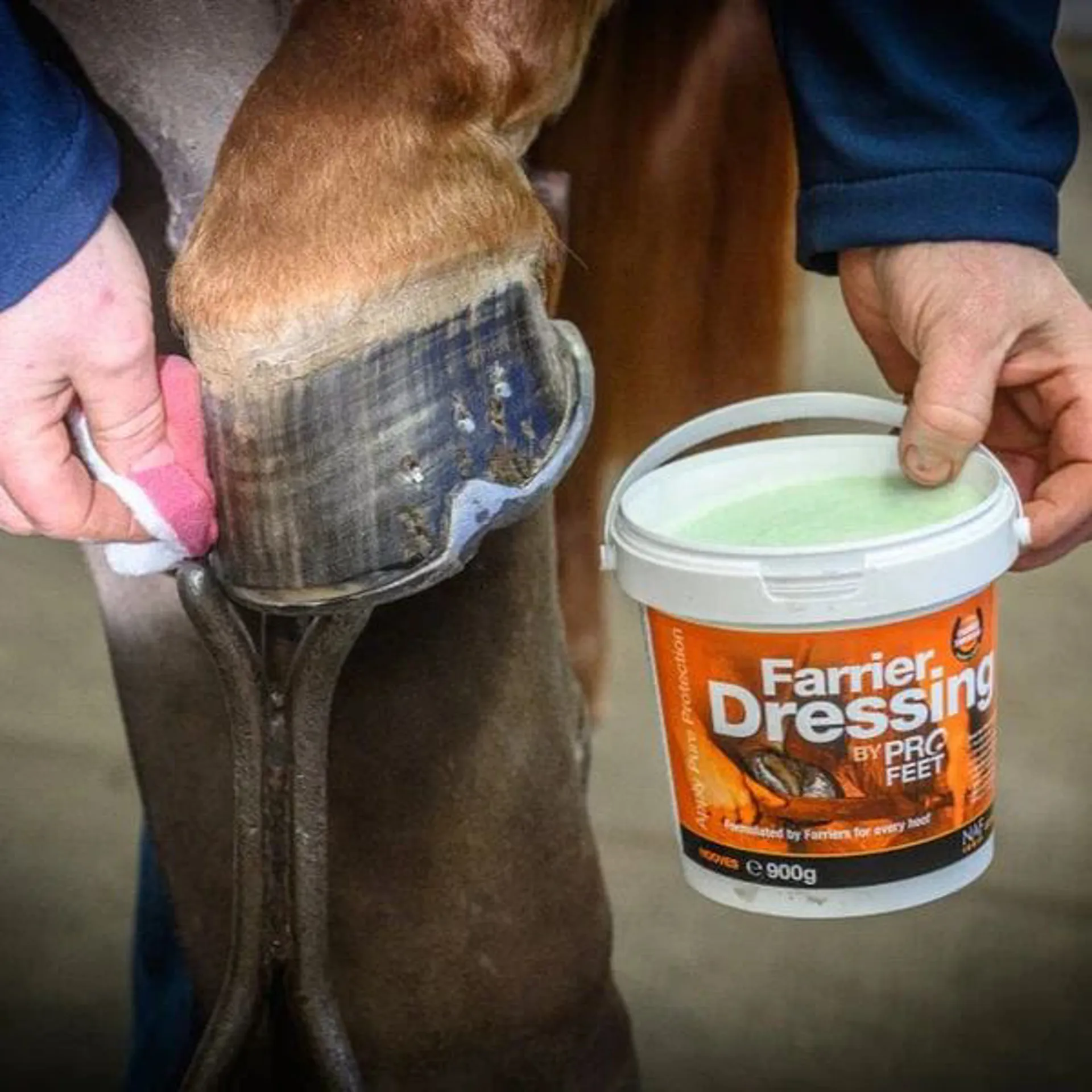 A horse hoof being treated with NAF Farrier Dressing