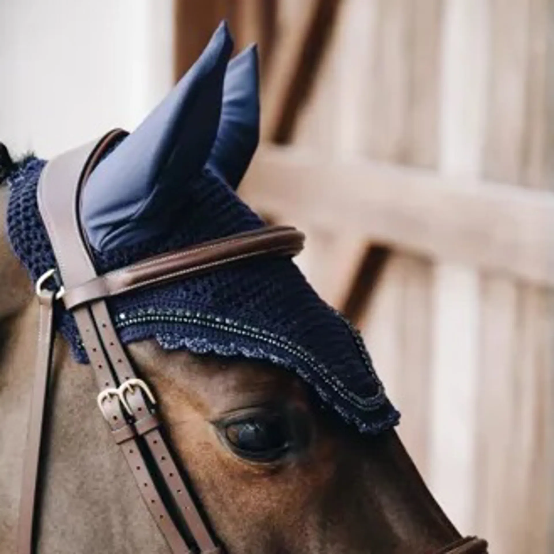 Kentucky Competition Ears from RB Equestrian