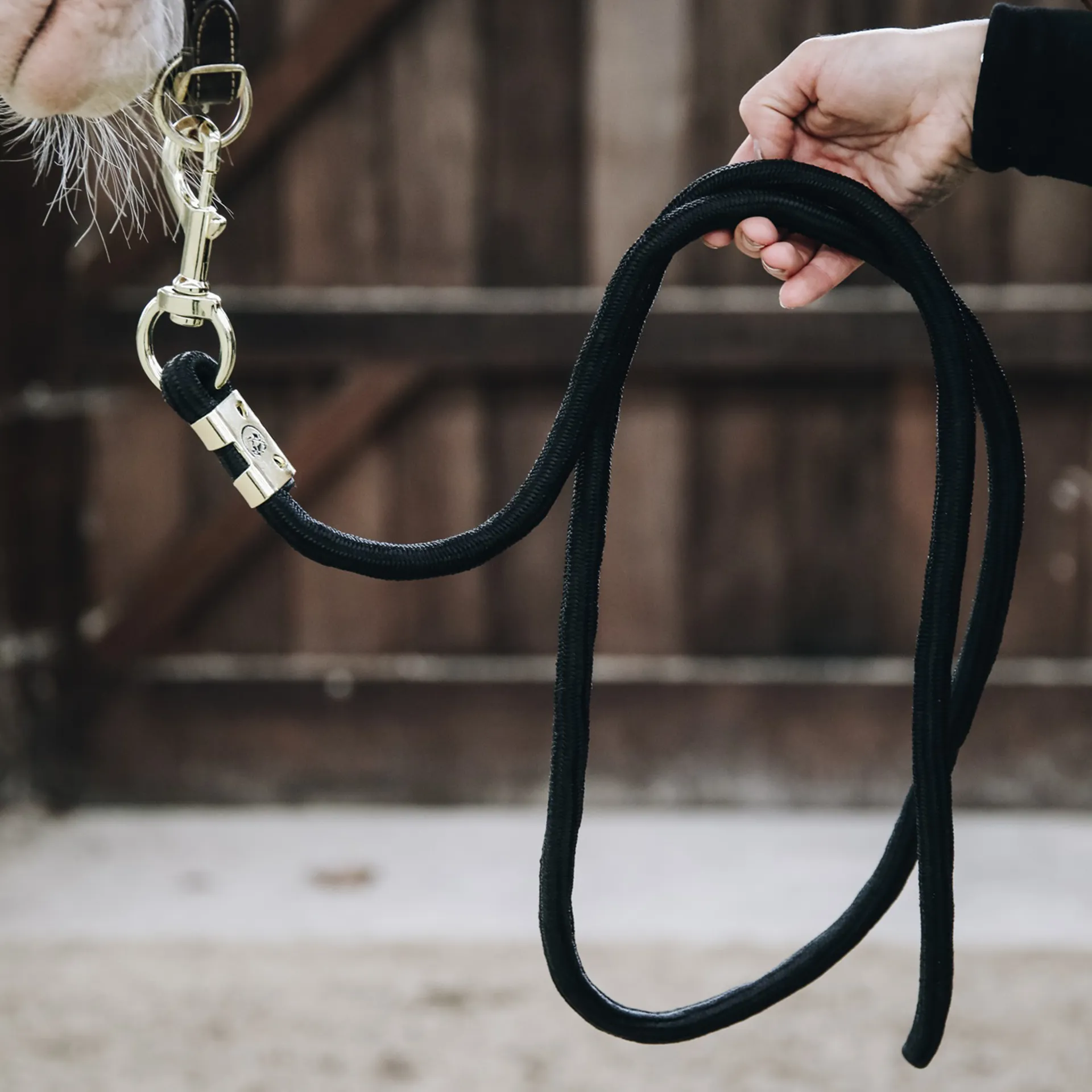 Leadrope from RB Equestrian