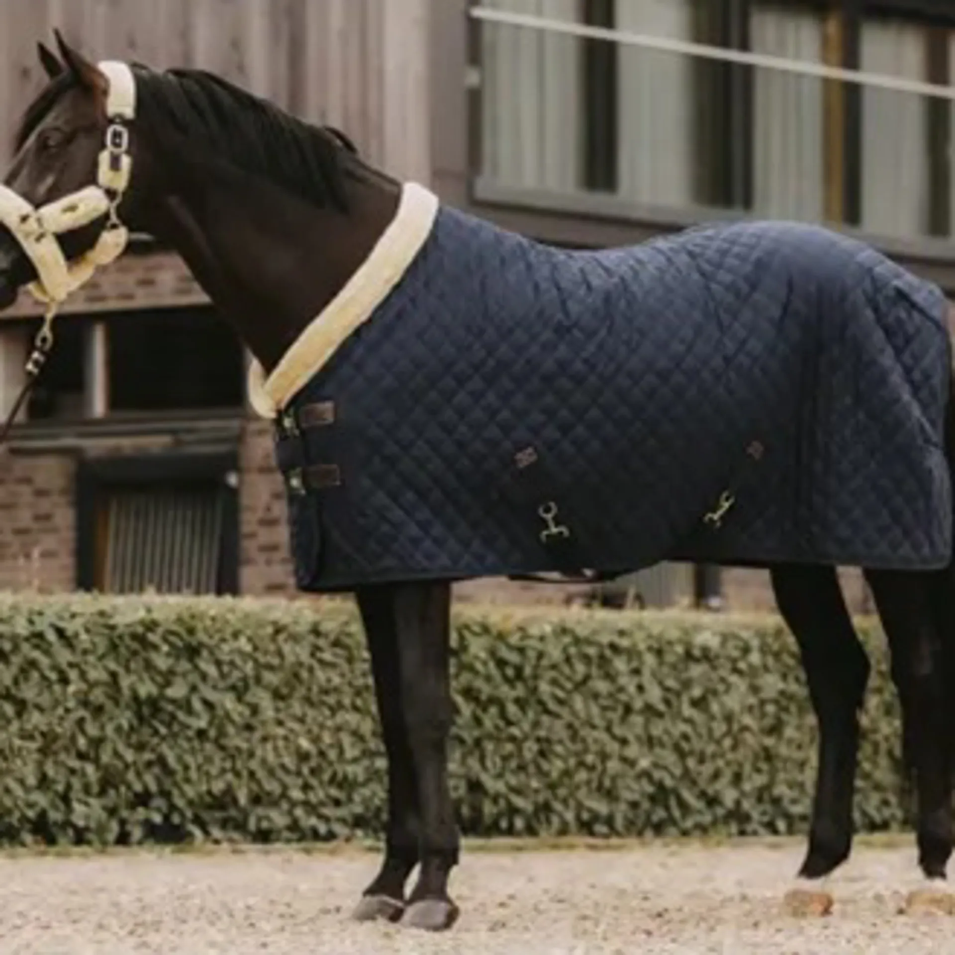 Kentucky Horse rugs from RB Equestrian