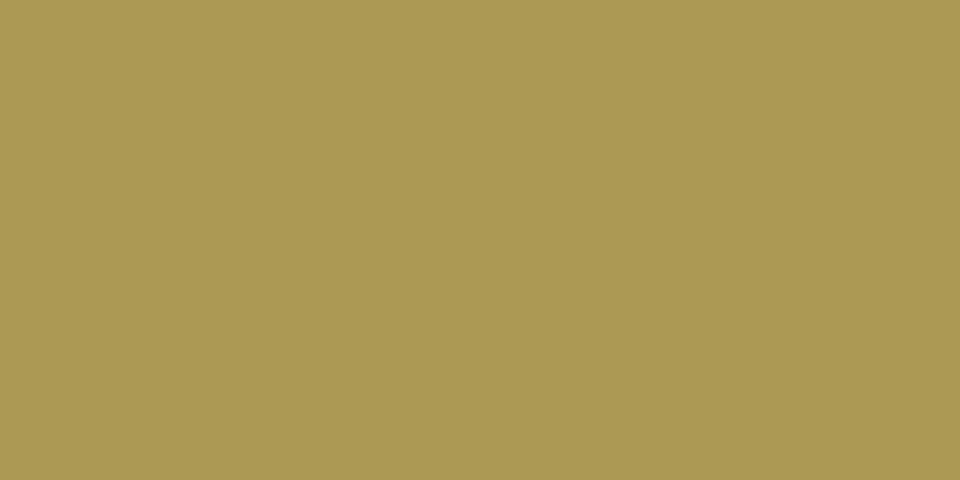 LeMieux Gooseberry from RB Equestrian