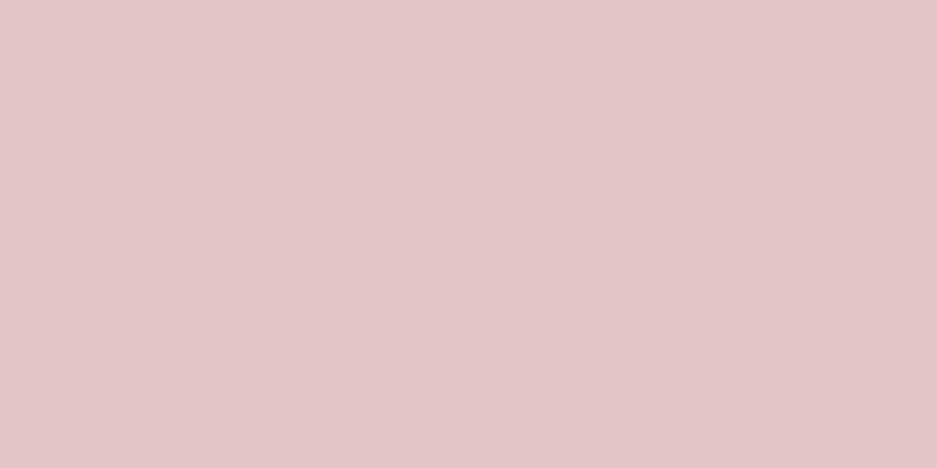 LeMieux Wild Rose from RB Equestrian