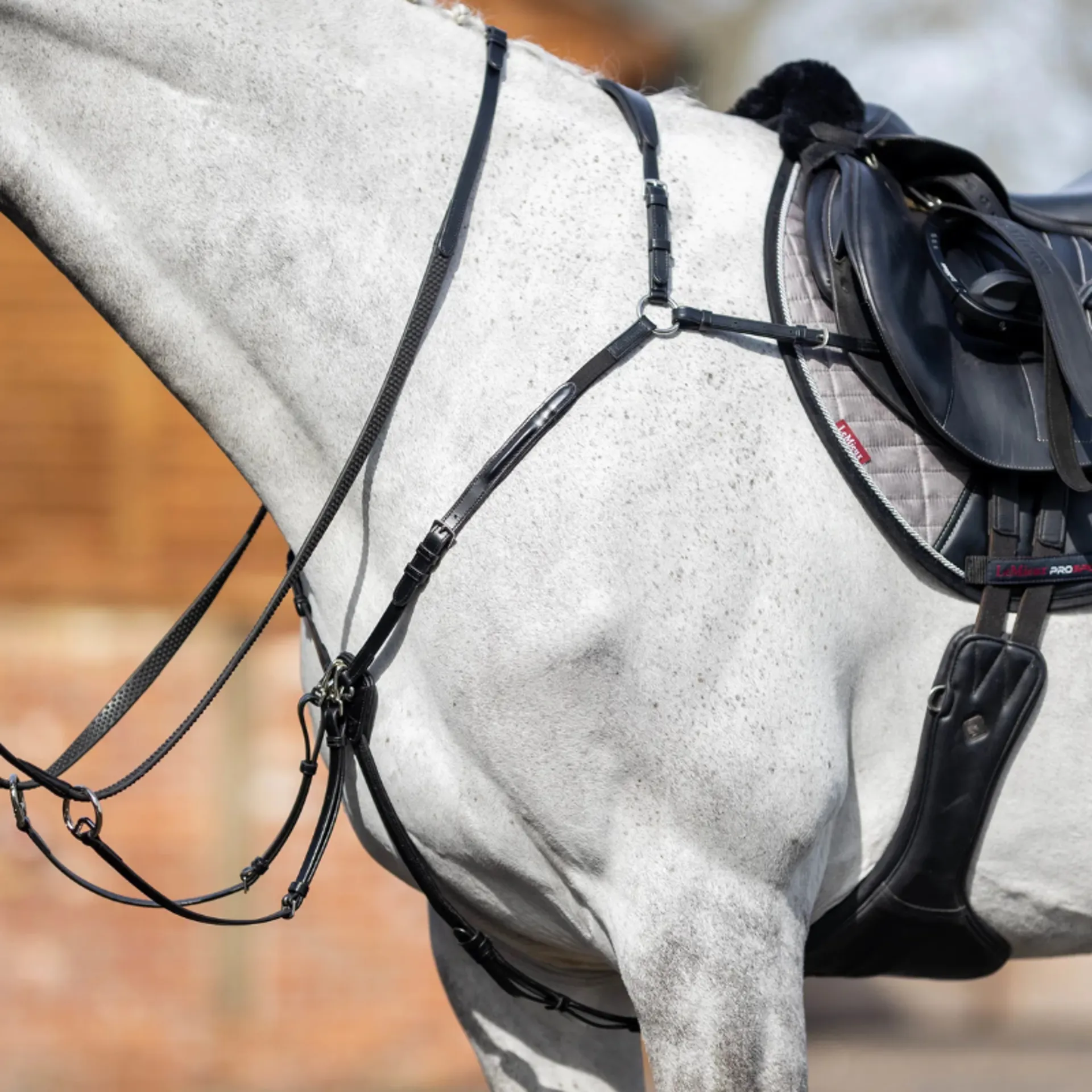 Martingales & Breastplates from RB Equestrian