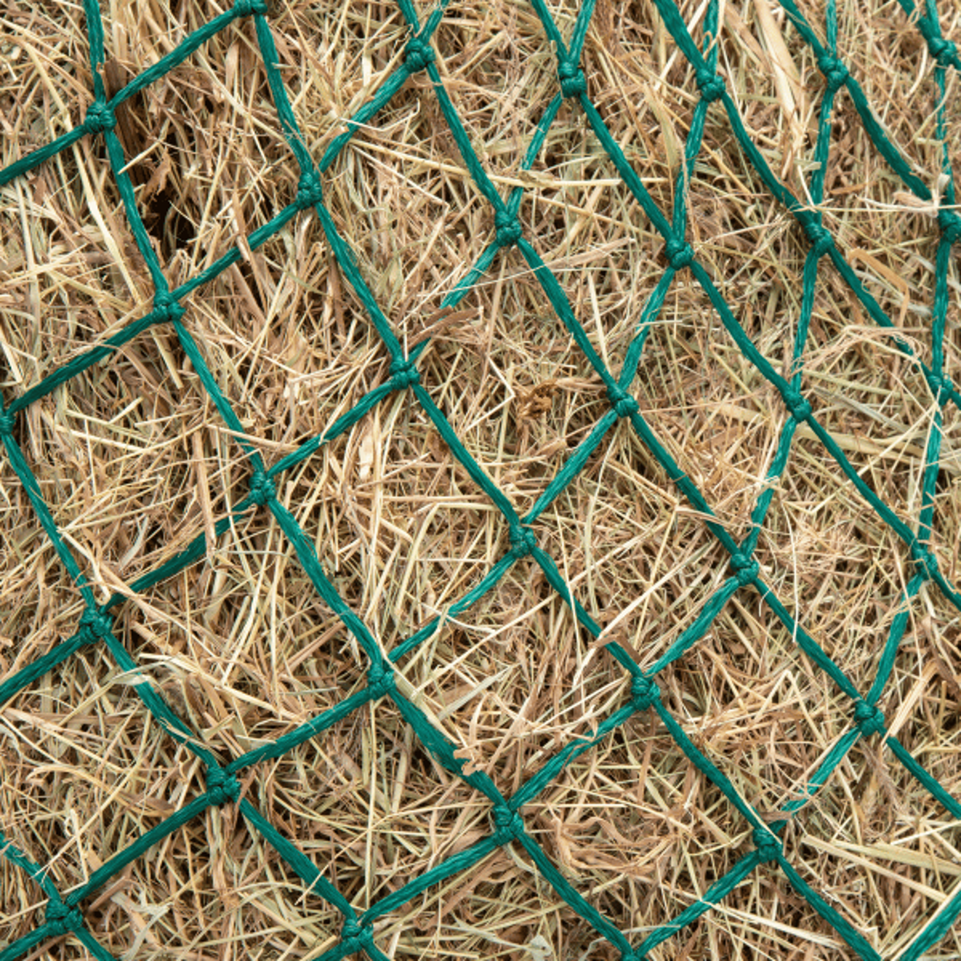 Shires Haynet from RB Equestrian