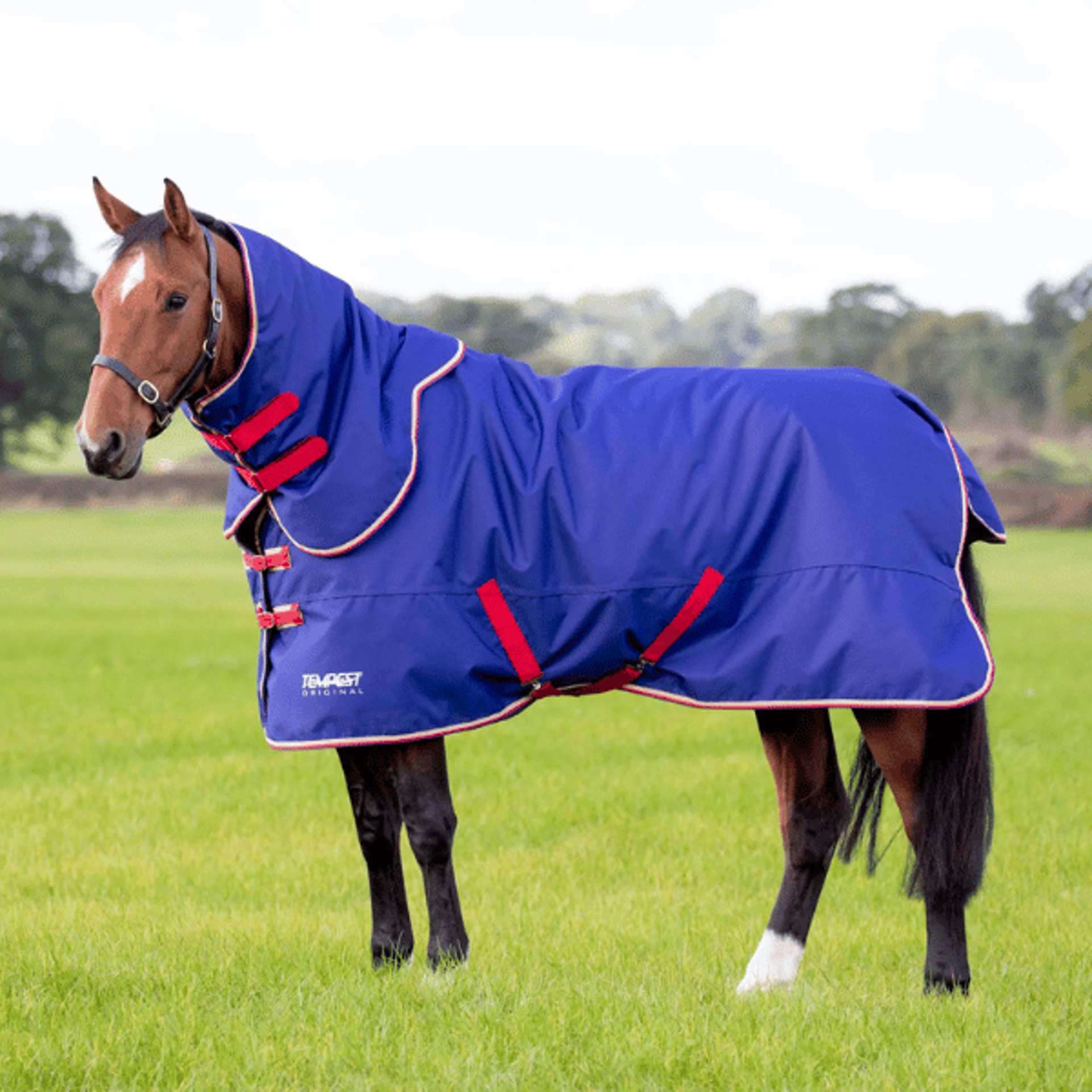 Shires Turnout Rug from RB Equestrian