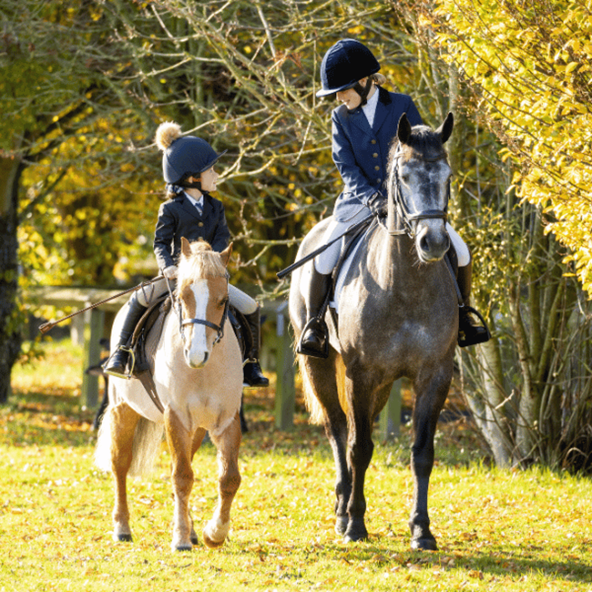 Shires Riding Accessories from RB Equestrian