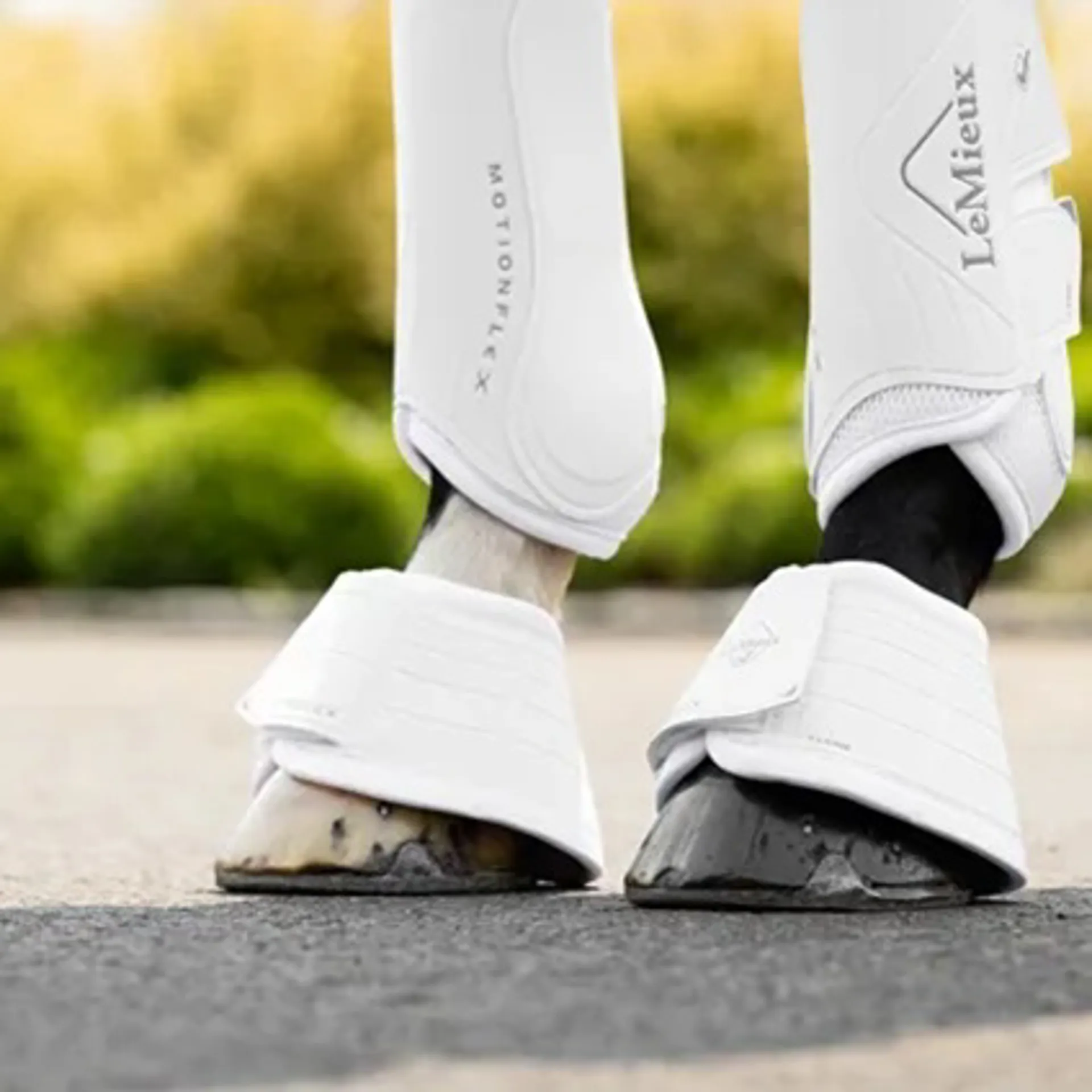 Overreach boots from RB Equestrian